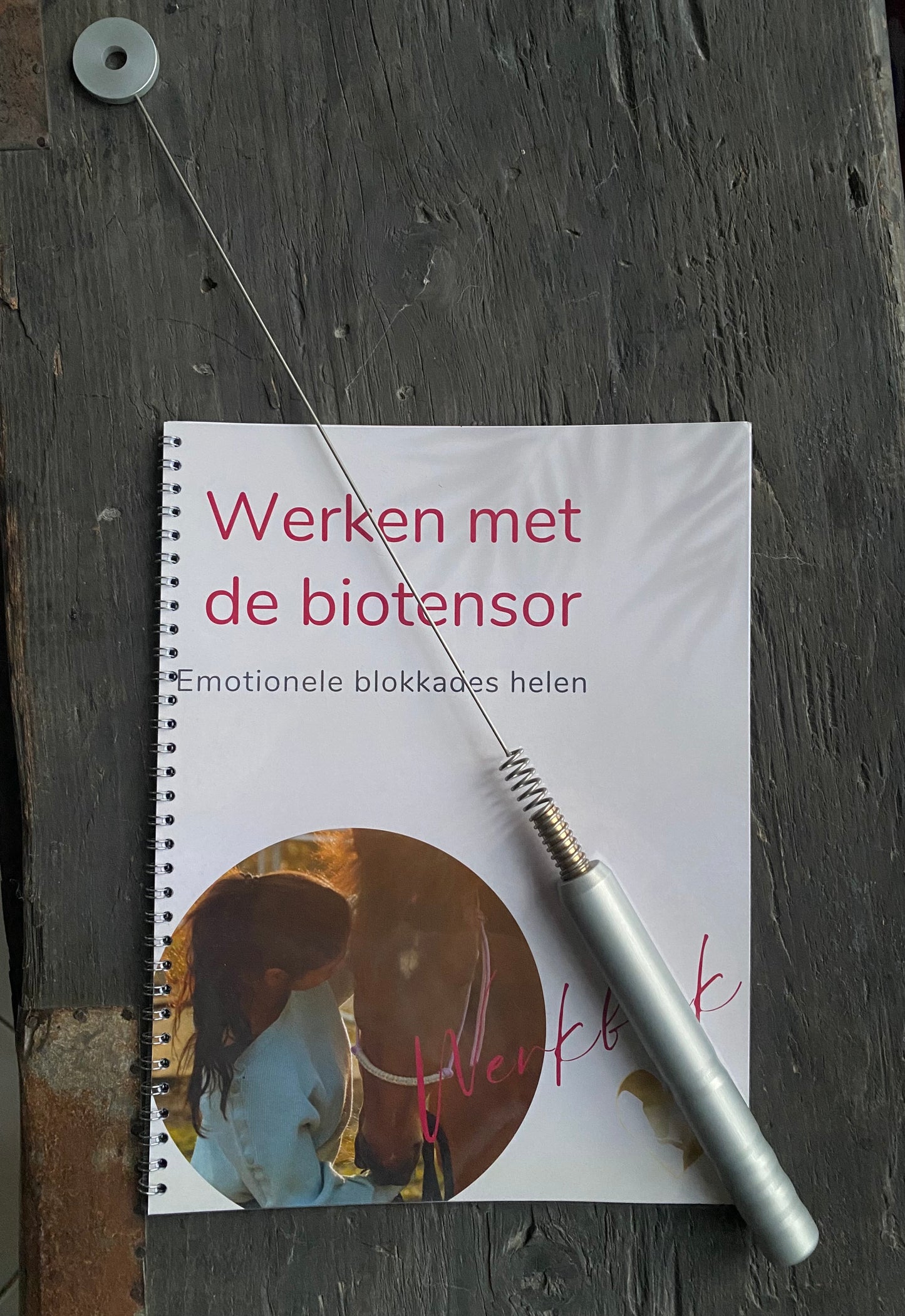 Biotensor sessie: emotionele heling