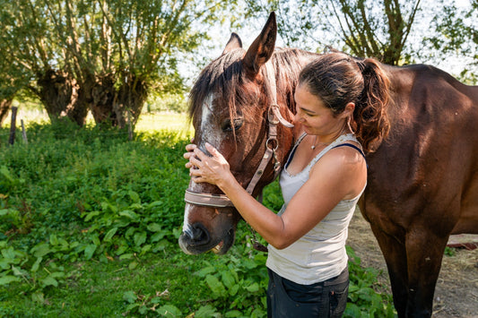 Waarom Cranio voor je Paard Geen Zweverij Is. Maar Pure Noodzaak