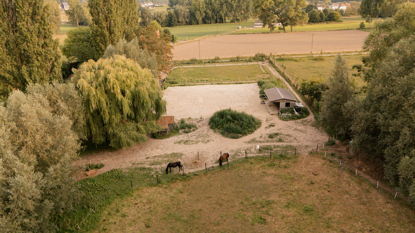 Gedetailleerd Adviesrapport