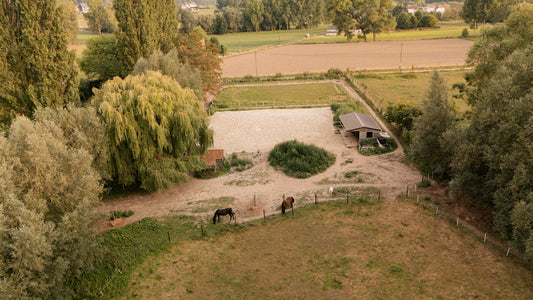 Gedetailleerd Adviesrapport